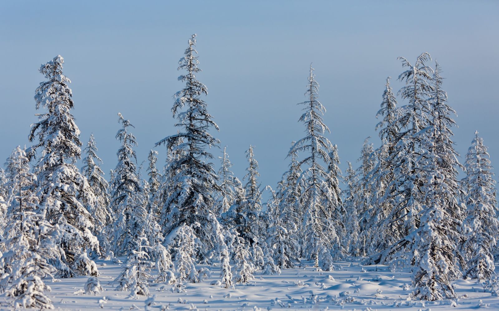 Зима В Якутии Фото